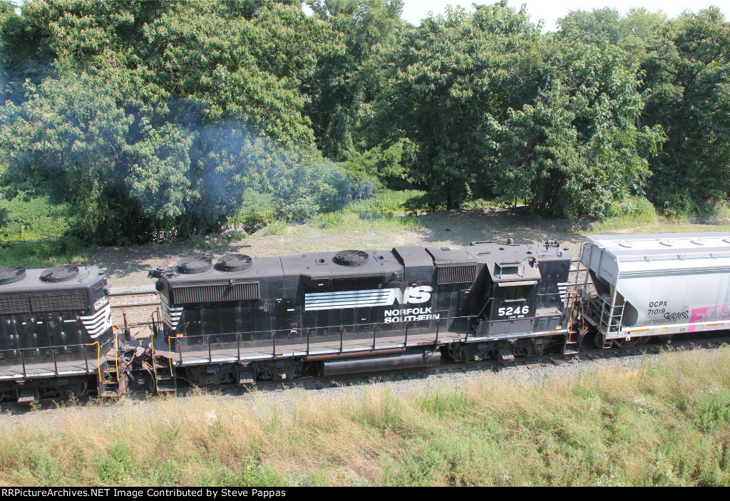 NS 5246
